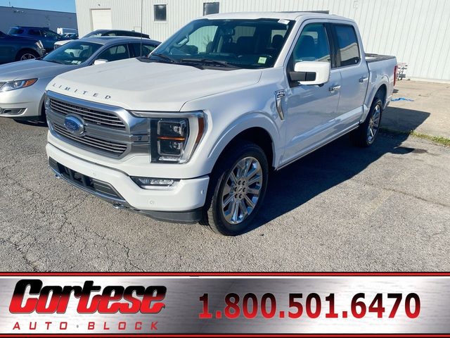 2022 Ford F-150 XL 4WD photo