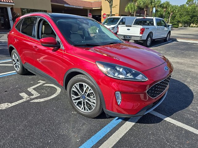 2021 Ford Escape SEL Hybrid FWD photo