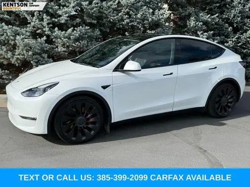 2022 Tesla Model Y Performance AWD photo