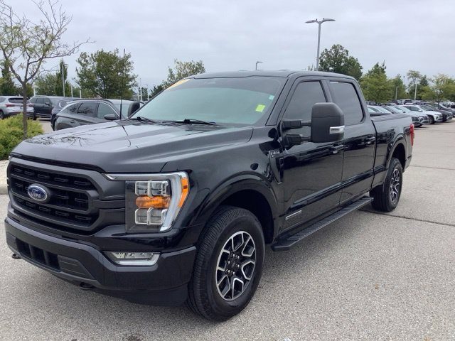 2022 Ford F-150 XLT 4WD photo