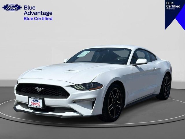 2023 Ford Mustang EcoBoost Premium RWD photo