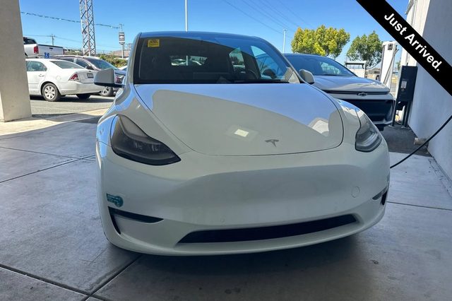 2022 Tesla Model Y Performance AWD photo