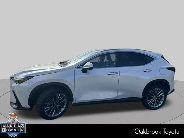 2022 Lexus NX NX 350h Luxury AWD photo