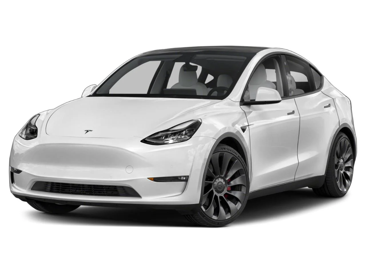 2023 Tesla Model Y AWD photo