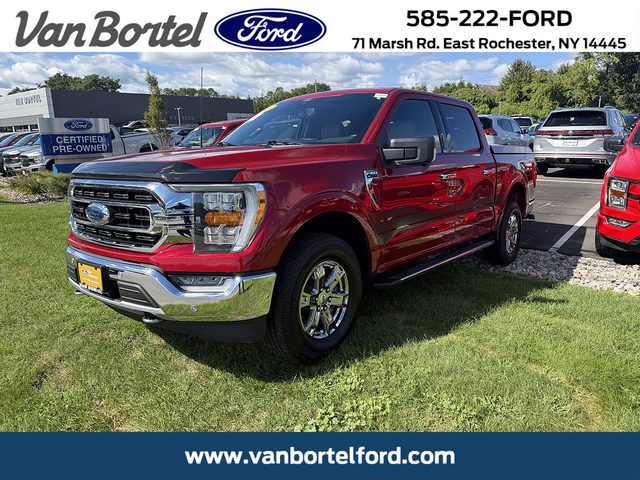 2021 Ford F-150 XLT 4WD photo