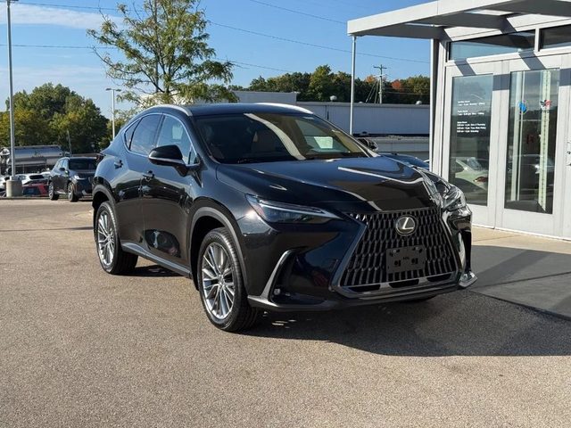 2023 Lexus NX NX 350h Luxury AWD photo