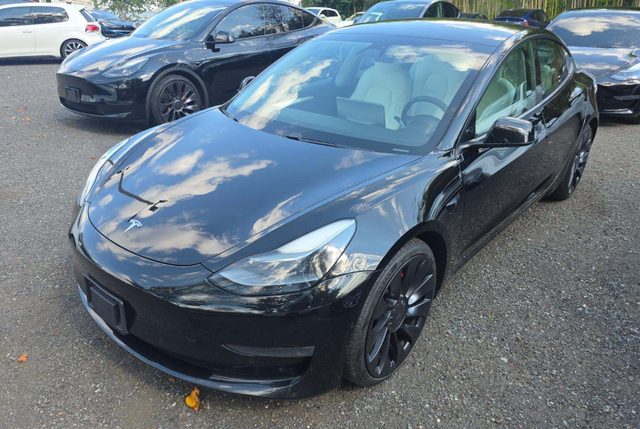 2021 Tesla Model 3 Performance AWD photo