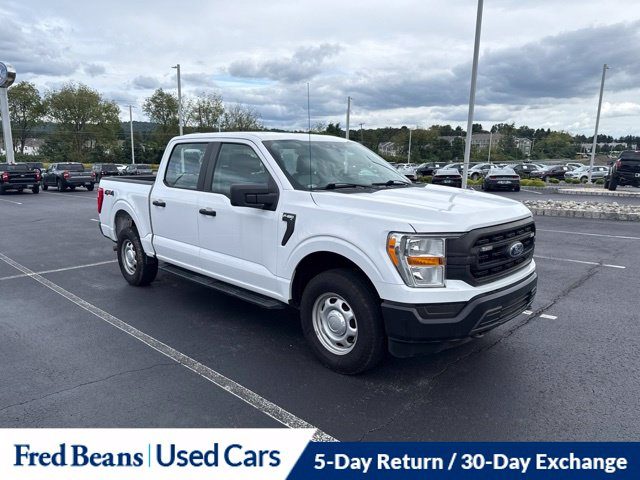 2021 Ford F-150 XL 4WD photo