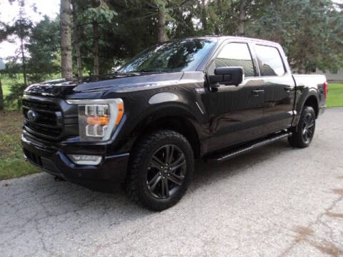 2021 Ford F-150 XLT 4WD photo