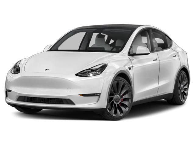 2023 Tesla Model Y  AWD photo