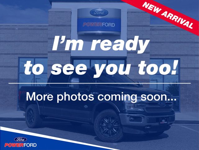 2020 Ford F-150 King Ranch 4WD photo