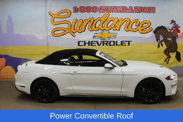 2019 Ford Mustang EcoBoost Premium RWD photo