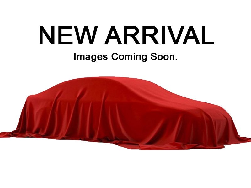2020 Tesla Model X Performance AWD photo
