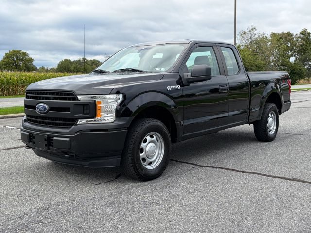 2019 Ford F-150 XL 4WD photo