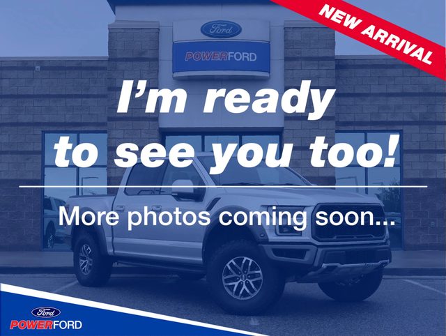2018 Ford F-150 Raptor 4WD photo