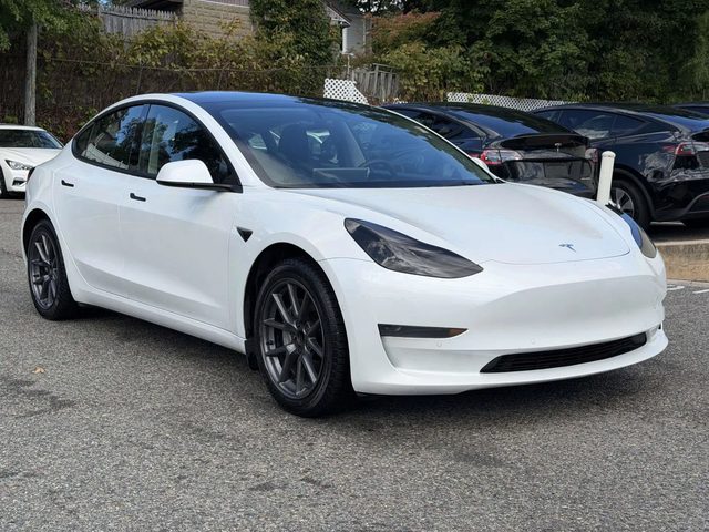 2021 Tesla Model 3 Standard Range Plus RWD photo