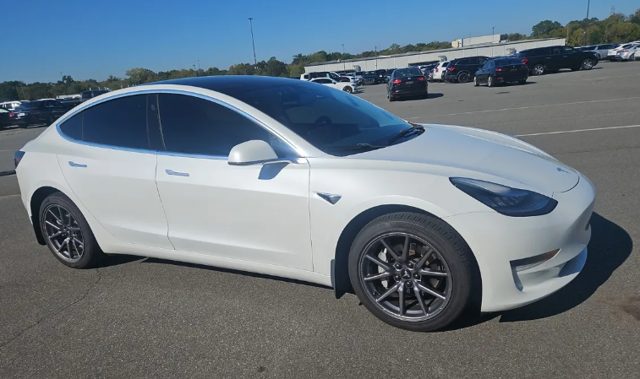 2020 Tesla Model 3 Standard Range RWD photo