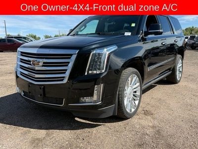 2015 Cadillac Escalade Platinum 4WD photo