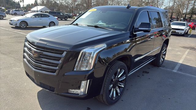 2016 Cadillac Escalade Platinum 4WD photo
