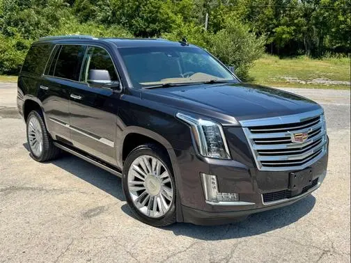 2016 Cadillac Escalade Platinum 4WD photo