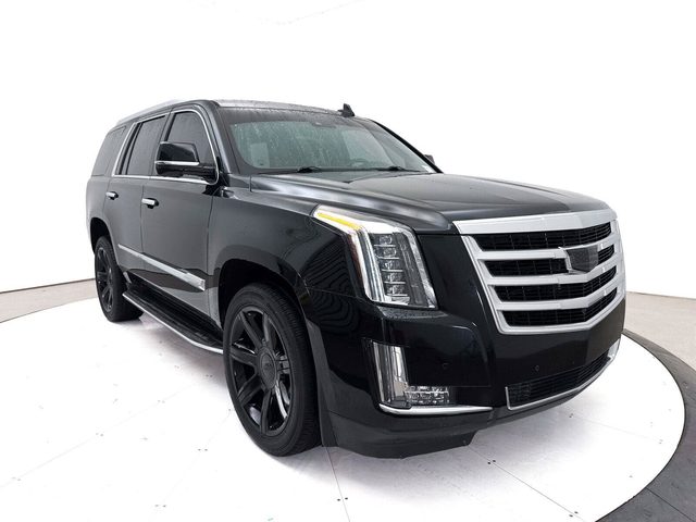 2016 Cadillac Escalade Luxury Collection RWD photo