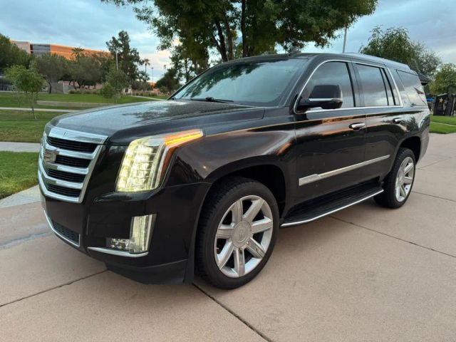 2017 Cadillac Escalade  RWD photo