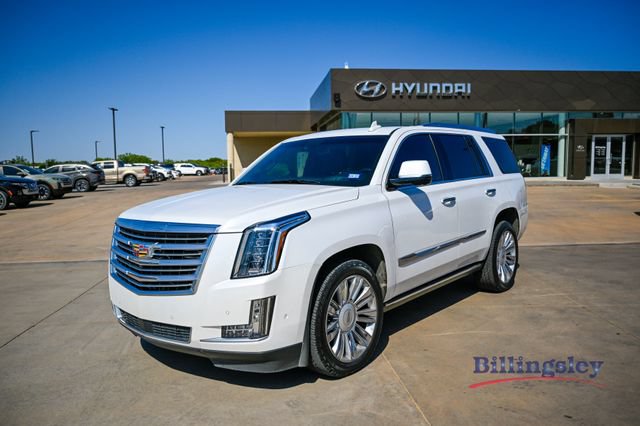 2017 Cadillac Escalade Platinum 4WD photo