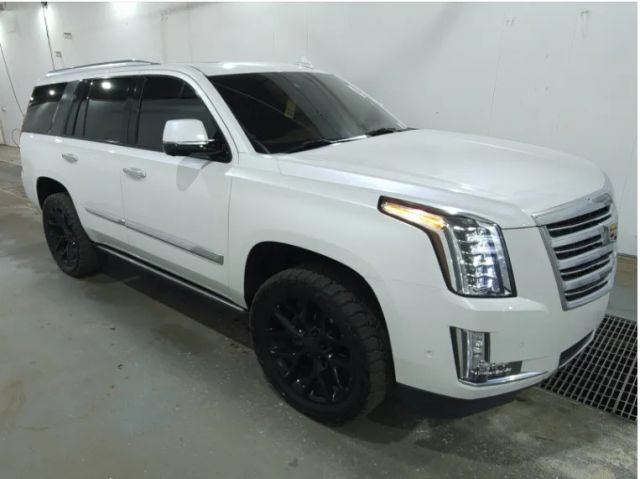 2017 Cadillac Escalade Platinum 4WD photo