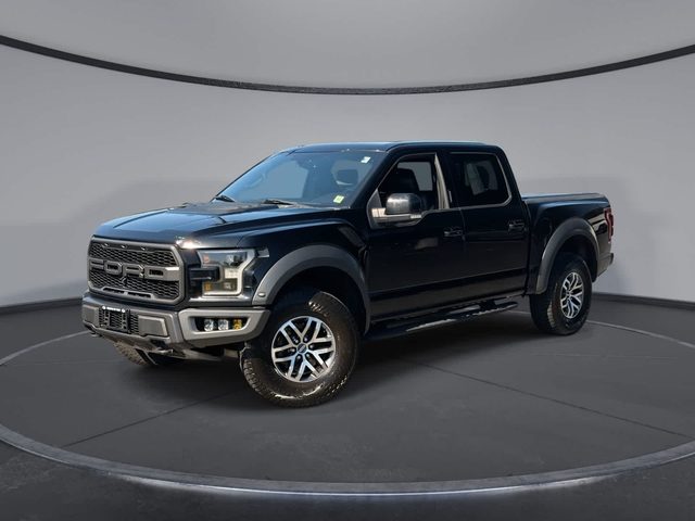 2017 Ford F-150 Raptor 4WD photo