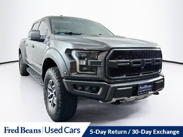 2017 Ford F-150 Raptor 4WD photo