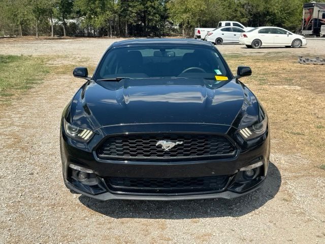 2017 Ford Mustang EcoBoost RWD photo
