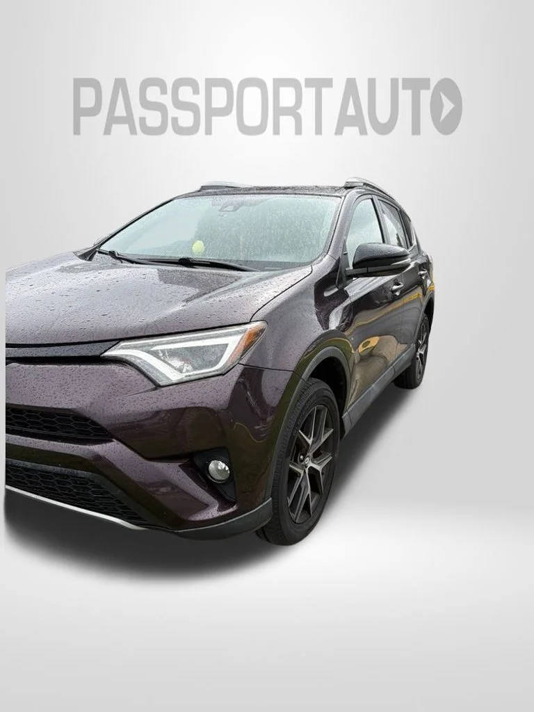 2017 Toyota RAV4 SE AWD photo