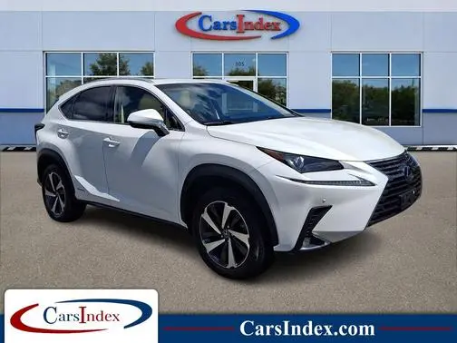 2018 Lexus NX NX 300h AWD photo