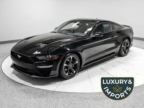 2018 Ford Mustang EcoBoost RWD photo