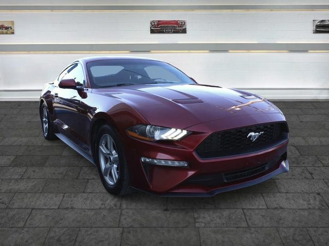 2018 Ford Mustang EcoBoost RWD photo