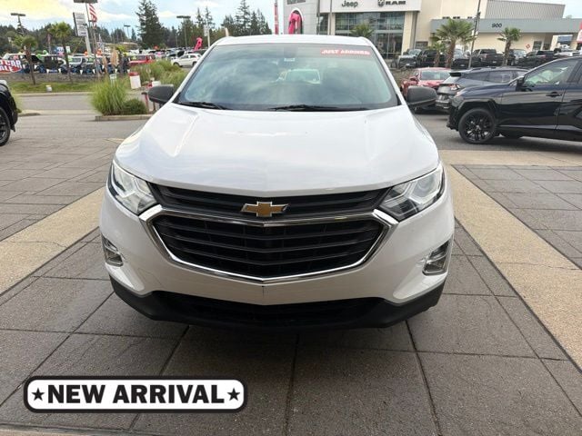 2018 Chevrolet Equinox LS FWD photo